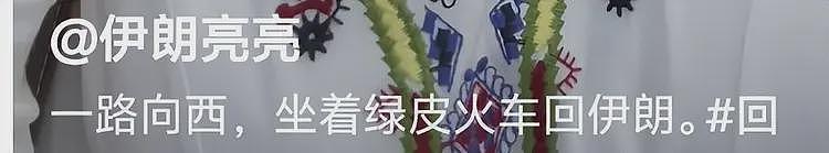 在中留学伊朗女孩坚持回国，从复旦退学坐火车到新疆，航班却停了（视频/组图） - 3