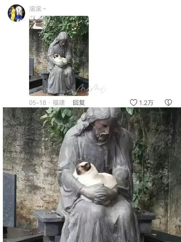 “买两盒荔枝200元男友生气了是我错了吗？”啊啊啊这波我站性价比！（组图） - 59