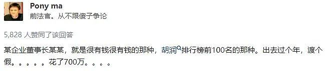 网友自拍曝光顶级别墅内景，光电费一年40万，看完明细直接懵了…（组图） - 11