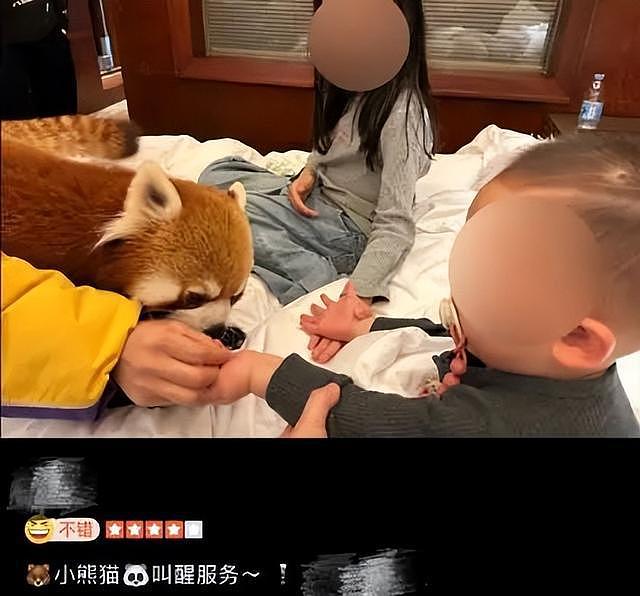1晚房价3千,重庆一酒店称提供小熊猫叫早服务引争议(组图) - 2