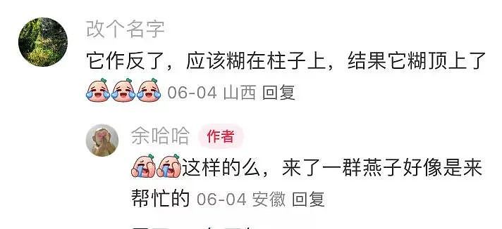 “买两盒荔枝200元男友生气了是我错了吗？”啊啊啊这波我站性价比！（组图） - 48