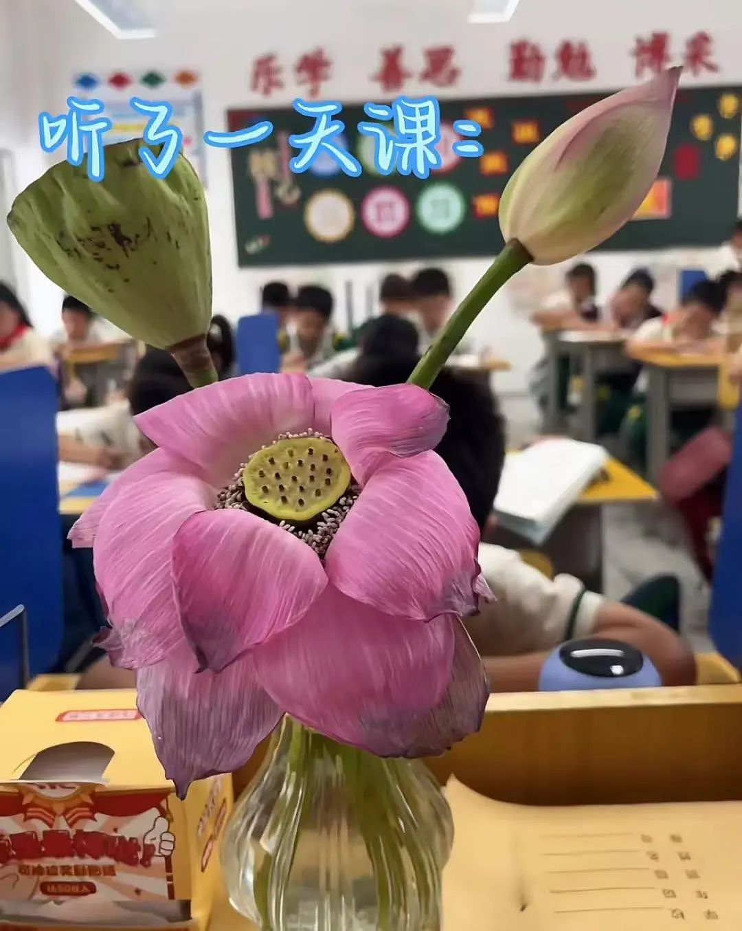 “买两盒荔枝200元男友生气了是我错了吗？”啊啊啊这波我站性价比！（组图） - 37