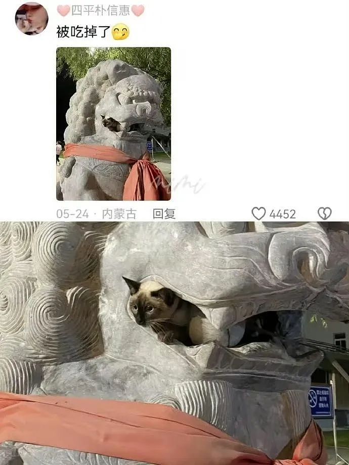 “买两盒荔枝200元男友生气了是我错了吗？”啊啊啊这波我站性价比！（组图） - 64
