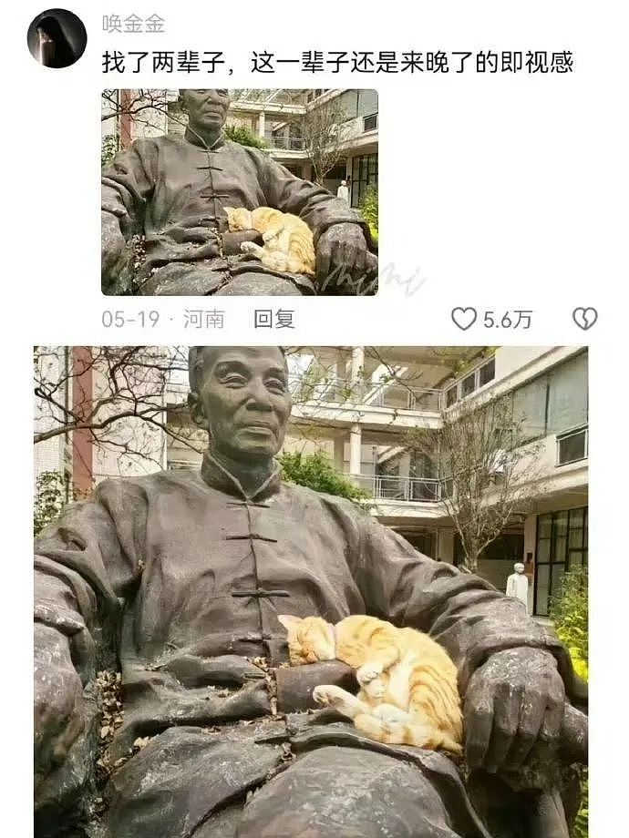 “买两盒荔枝200元男友生气了是我错了吗？”啊啊啊这波我站性价比！（组图） - 63