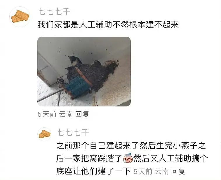 “买两盒荔枝200元男友生气了是我错了吗？”啊啊啊这波我站性价比！（组图） - 49