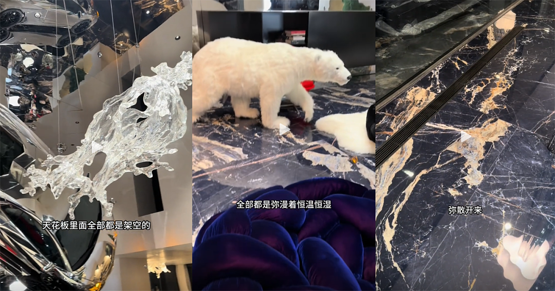 网友自拍曝光顶级别墅内景，光电费一年40万，看完明细直接懵了…（组图） - 7