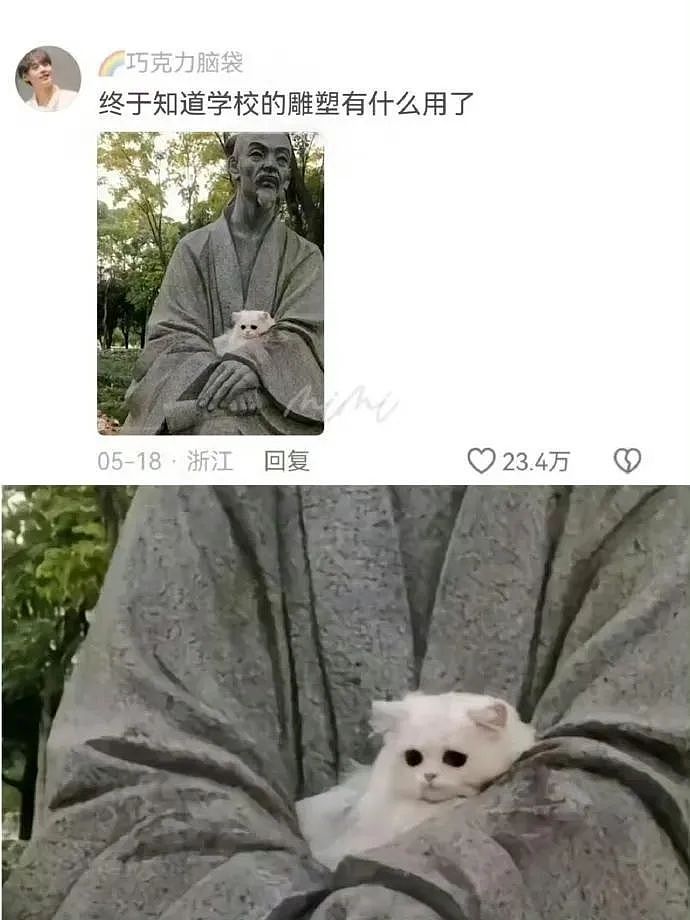 “买两盒荔枝200元男友生气了是我错了吗？”啊啊啊这波我站性价比！（组图） - 60