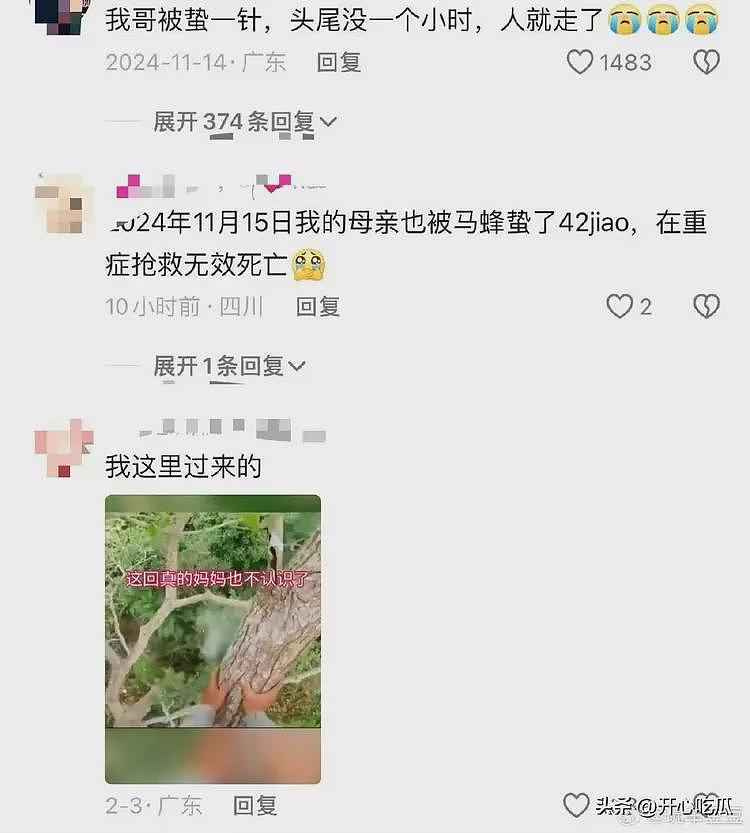 身家百亿的富豪被蜜蜂蛰死了!享年53岁,引全网惋惜,生命太脆弱(组图) - 8