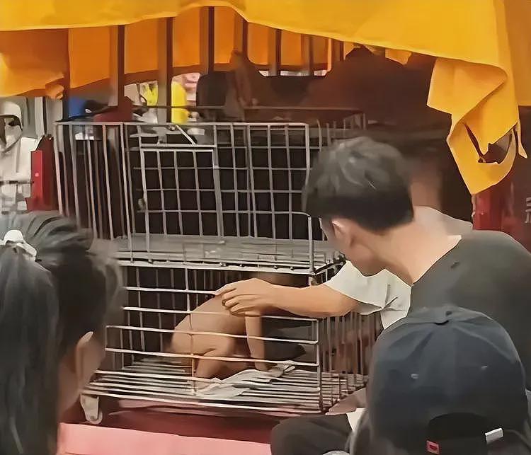 幼童赤身被关笼子后续！警方回应，孩子情况特殊，更多疑点被扒（视频/组图） - 4