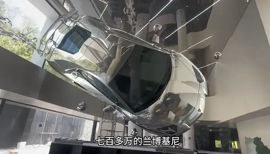 网友自拍曝光顶级别墅内景，光电费一年40万，看完明细直接懵了…（组图） - 8