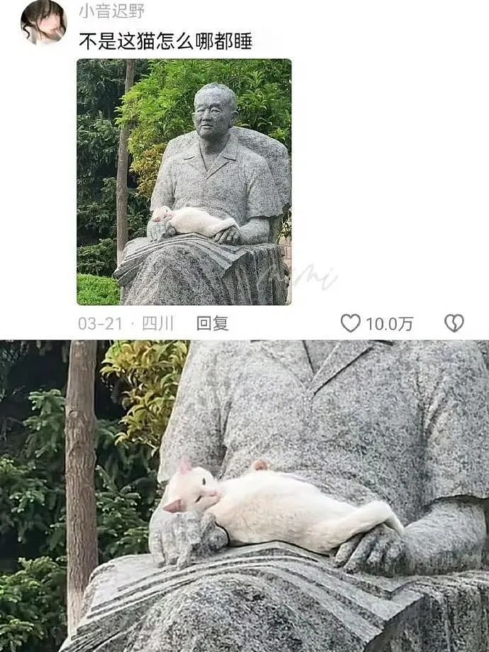 “买两盒荔枝200元男友生气了是我错了吗？”啊啊啊这波我站性价比！（组图） - 62