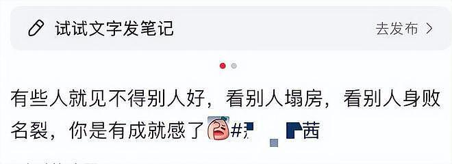 大V自曝心疼那尔那茜被网暴，这么多年才三部作品，哪有这样的天龙人（组图） - 6