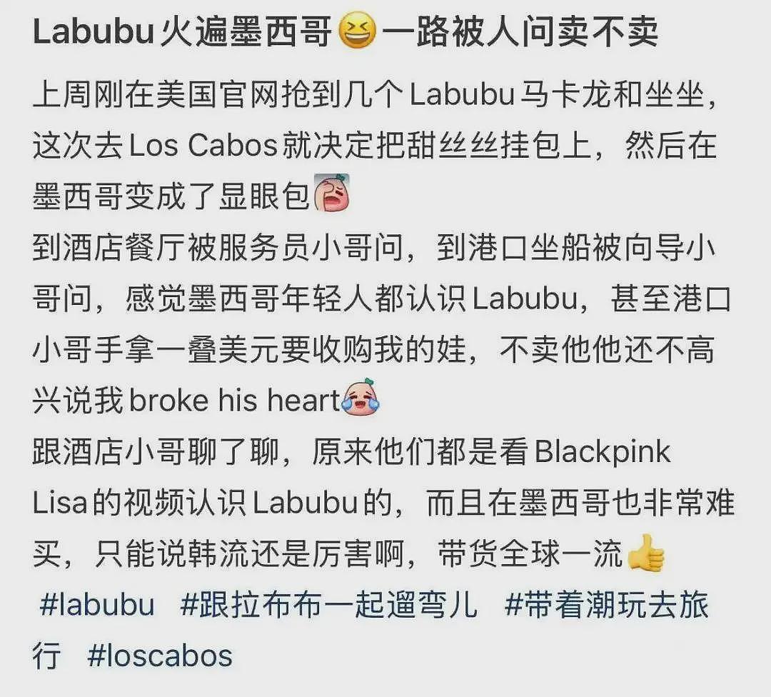 泡泡玛特市值蒸发200亿,labubu还能火多久(组图) - 14