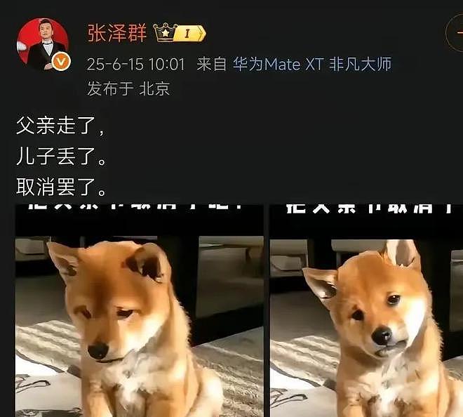 儿子丢失2年后，央视张泽群发文：父亲去了，儿子丢了，取消罢了（组图） - 2