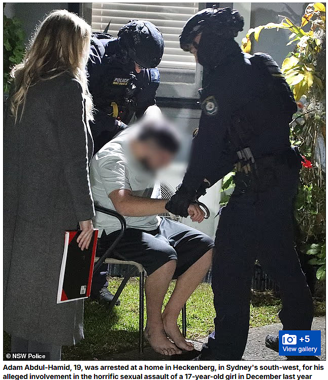炸裂!悉尼警方通报:14岁~19岁四名teenager强奸少女长达6小时(组图) - 11