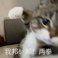 【爆笑】据说这是男生见女友的最高礼仪?网友:为啥要睡满18个小时呢,好难猜哦...(组图) - 11