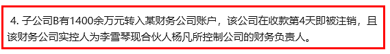 李雪琴被举报财务问题，那个举报者，真是万万没想到啊……（组图） - 5