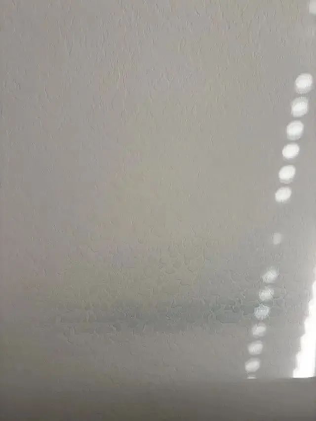 【宠物】白猫变绿猫，妹子找了一个月没发现原因！上网求助后天塌了...网友：你的猫在救你（组图） - 5