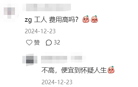 中国“神秘组织”免签入境东南亚，抢当地人饭碗！工费砍半、996加班、效率翻倍（组图） - 10