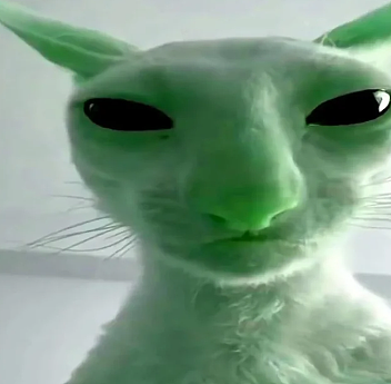 【宠物】白猫变绿猫，妹子找了一个月没发现原因！上网求助后天塌了...网友：你的猫在救你（组图） - 7