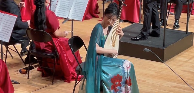 美女琵琶演奏家杨婷婷突取消演出,因药监总局一把手丈夫落马连累(组图) - 3