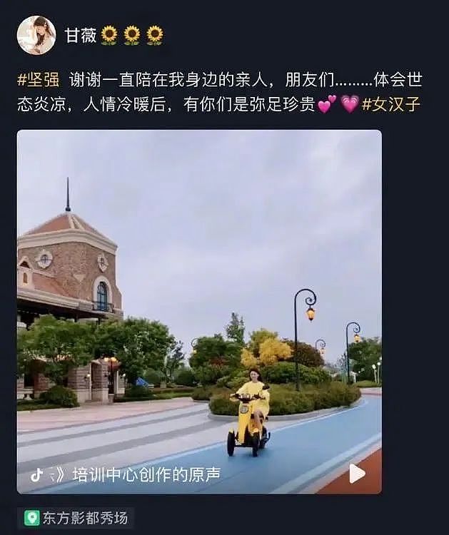 狂亏150亿，女明星为啥容易陷入假豪门？（组图） - 15