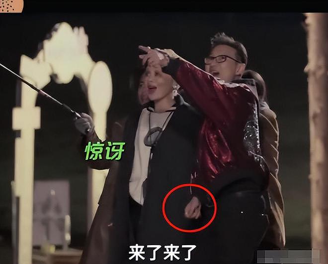 汪峰宁静庆生十指紧扣，撕开章子怡伤疤，森林北实惨（组图） - 21
