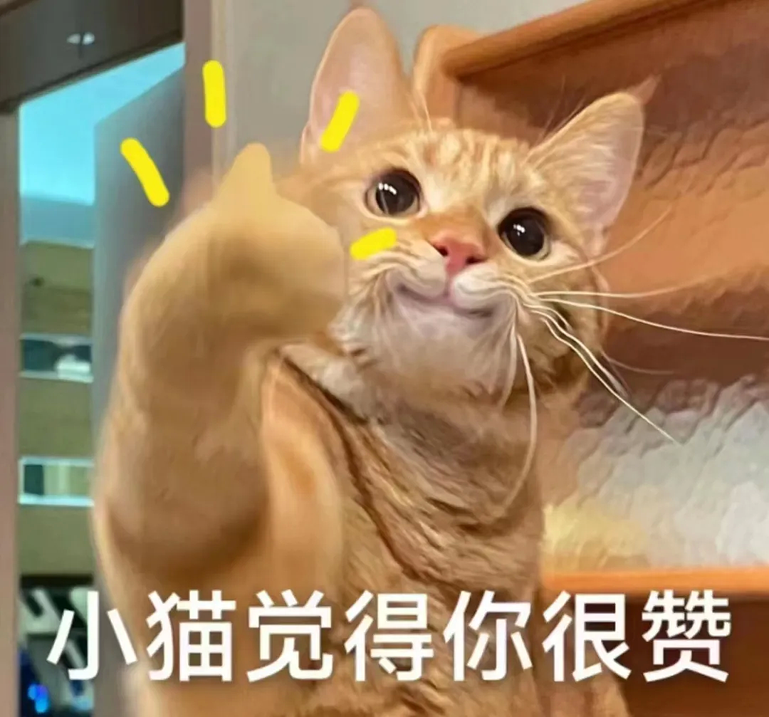 【宠物】白猫变绿猫，妹子找了一个月没发现原因！上网求助后天塌了...网友：你的猫在救你（组图） - 14