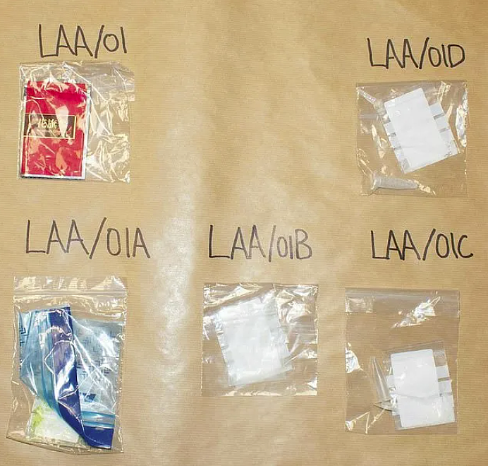 判了!中国留学生迷奸24名女生被判终身监禁,想靠化学阉割减刑遭拒(组图) - 10