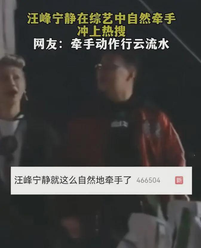 汪峰评论区沦陷,被质疑用老套路追求宁静,本人解释牵手原因(组图) - 6