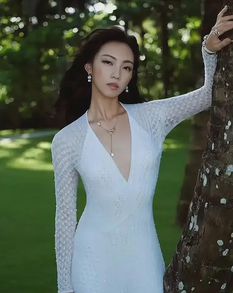 官媒点名彻查那尔那茜！知情记者曝内幕，不管怎么扒，资本会强保（组图） - 13