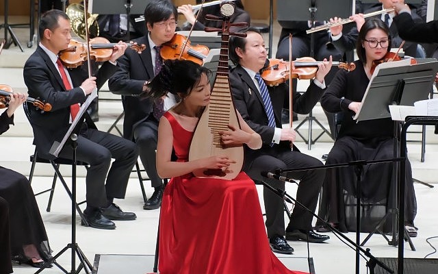 美女琵琶演奏家杨婷婷突取消演出,因药监总局一把手丈夫落马连累(组图) - 4