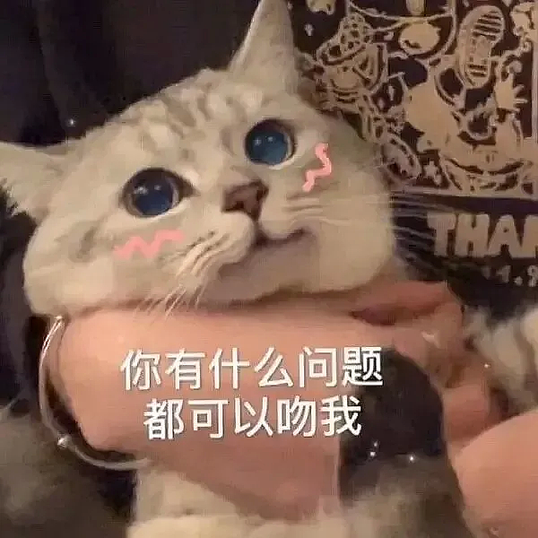【宠物】白猫变绿猫，妹子找了一个月没发现原因！上网求助后天塌了...网友：你的猫在救你（组图） - 21