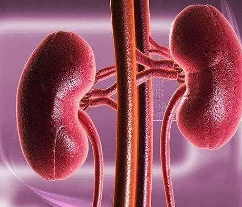 【健康】男性晨起第一次上厕所，若没有这3个变化，或说明肾脏功能还不错（图） - 1