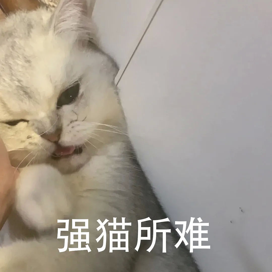 【宠物】白猫变绿猫，妹子找了一个月没发现原因！上网求助后天塌了...网友：你的猫在救你（组图） - 9