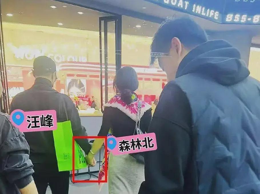 汪峰评论区沦陷,被质疑用老套路追求宁静,本人解释牵手原因(组图) - 19