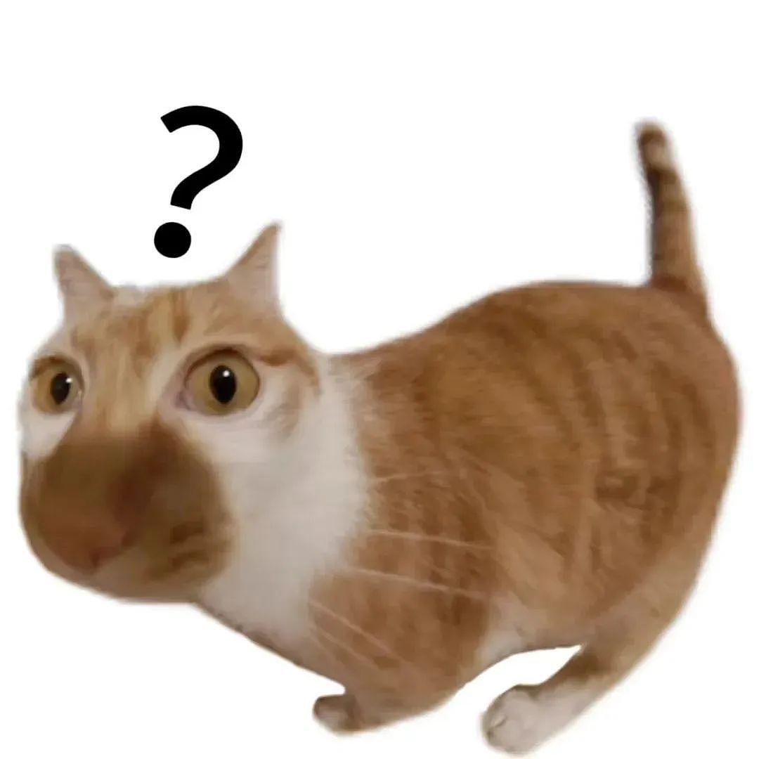 【宠物】白猫变绿猫，妹子找了一个月没发现原因！上网求助后天塌了...网友：你的猫在救你（组图） - 1