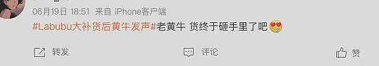 价格崩盘上热搜，Labubu第一批黄牛破产了……（组图） - 24