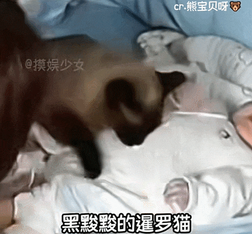 【宠物】白猫变绿猫，妹子找了一个月没发现原因！上网求助后天塌了...网友：你的猫在救你（组图） - 20