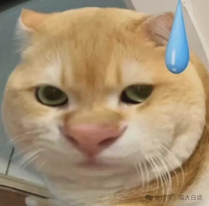 【爆笑】
