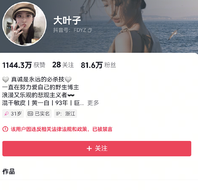 极为奢华！1年电费40万，网红炫富被封禁！家中挂兰博基尼，装修花掉8000万（组图） - 3