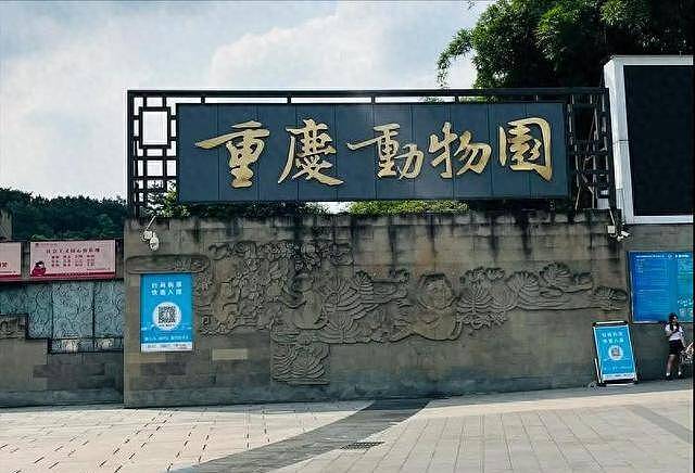 重庆3女子围殴女孩，撕扯衣服踹头扇脸，打人者正脸曝光身份被扒（视频/组图） - 1