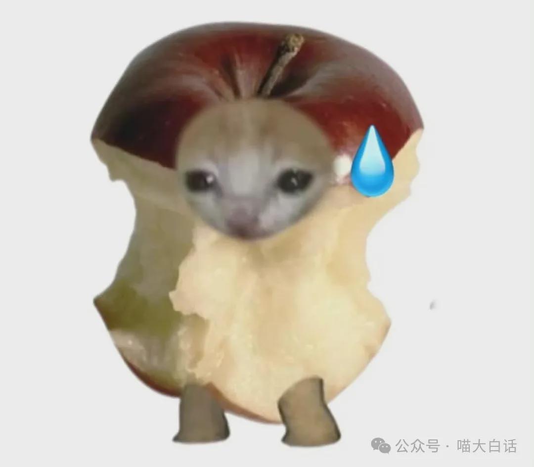 【爆笑】