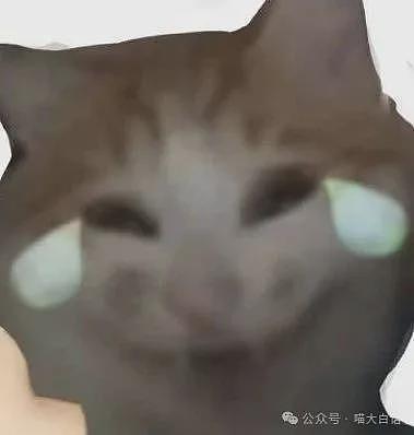 【爆笑】