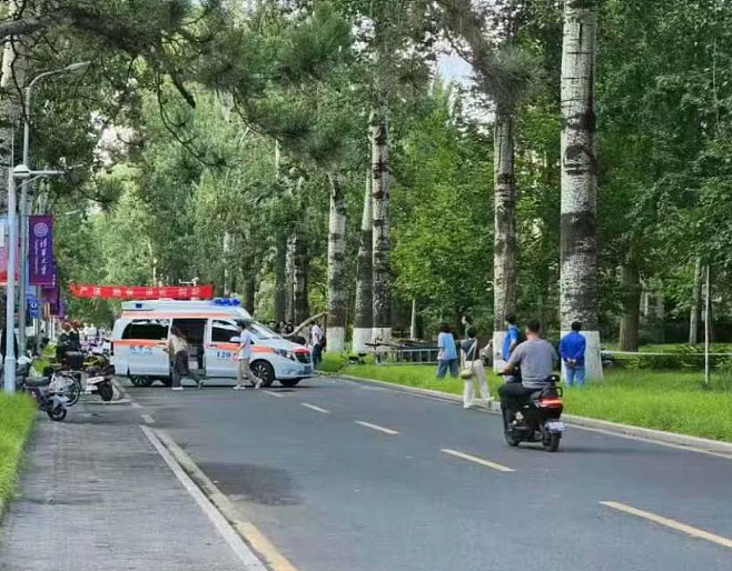 人为悲剧！北京语言大学系主任在清华大学校园被树砸身亡（组图） - 2