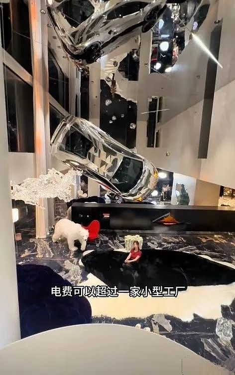 一年电费40万，兰博基尼挂墙！网红大蓝老婆炫豪宅被禁言（组图） - 2