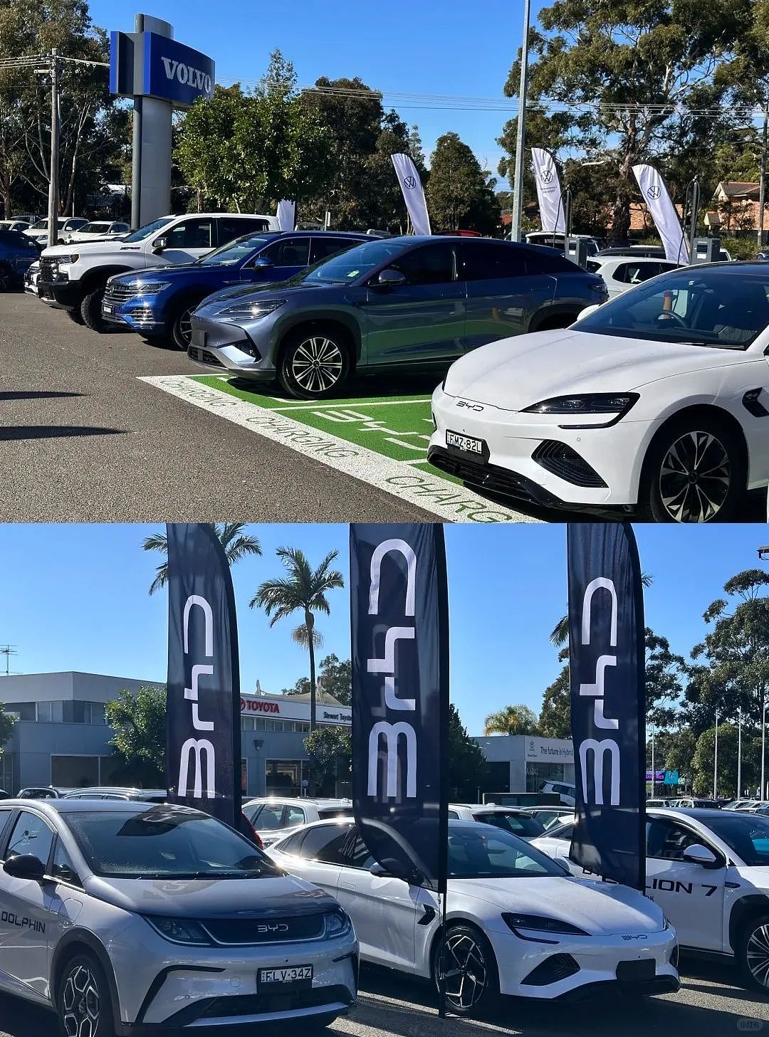 BYD全澳固定价格售车,怎么破?(组图) - 3
