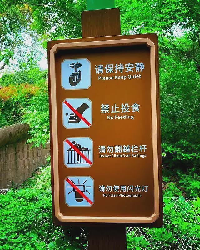 重庆3女子围殴女孩，撕扯衣服踹头扇脸，打人者正脸曝光身份被扒（视频/组图） - 4
