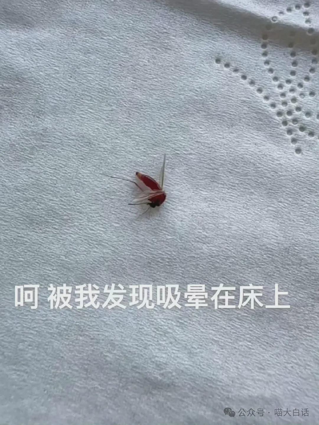 【爆笑】