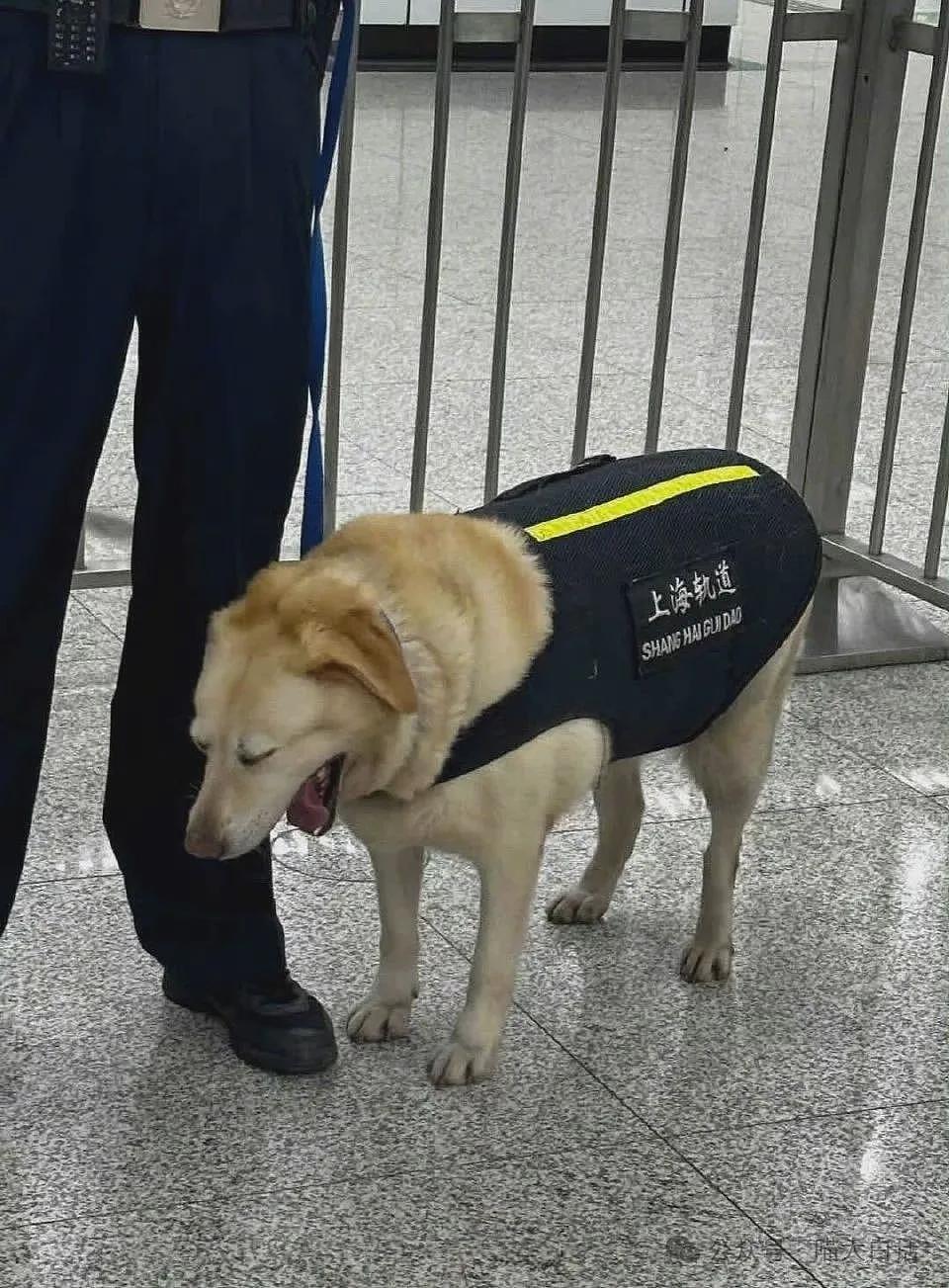 【爆笑】